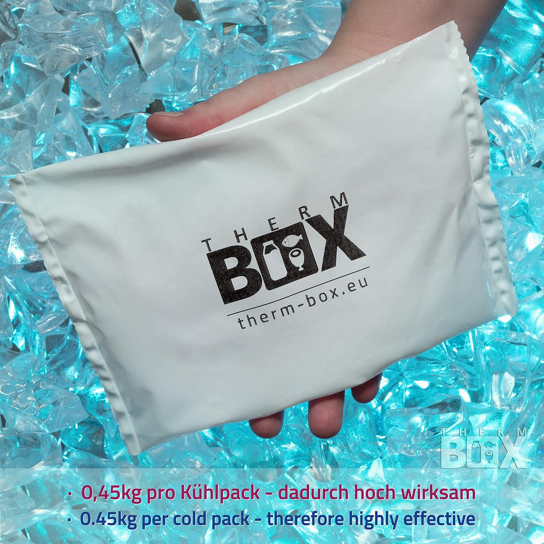 THERM BOX Modularbox 43M mit 4X Kühlakku für Kühlbox 43L Innen: 49x30x28cm Transportbox Thermobehält