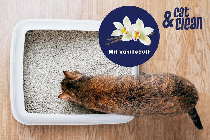 Cat & Clean CCD10 deluxe mit Vanilleduft Deluxe Vanilleduft 10 kg (1er Pack), Deluxe Vanilleduft 10