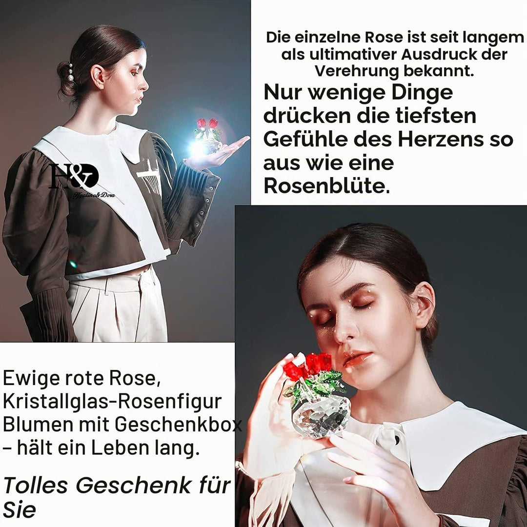 H&D Deko-Blumenstrauss aus Kristallglas rote Rosen mit Geschenkbox, Rot