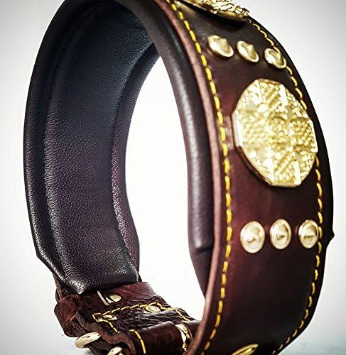 Bestia Maximus Hundehalsband, Echtleder, für grosse Rassen, Cane Corso, Rottweiler, Boxer, Bullmasti