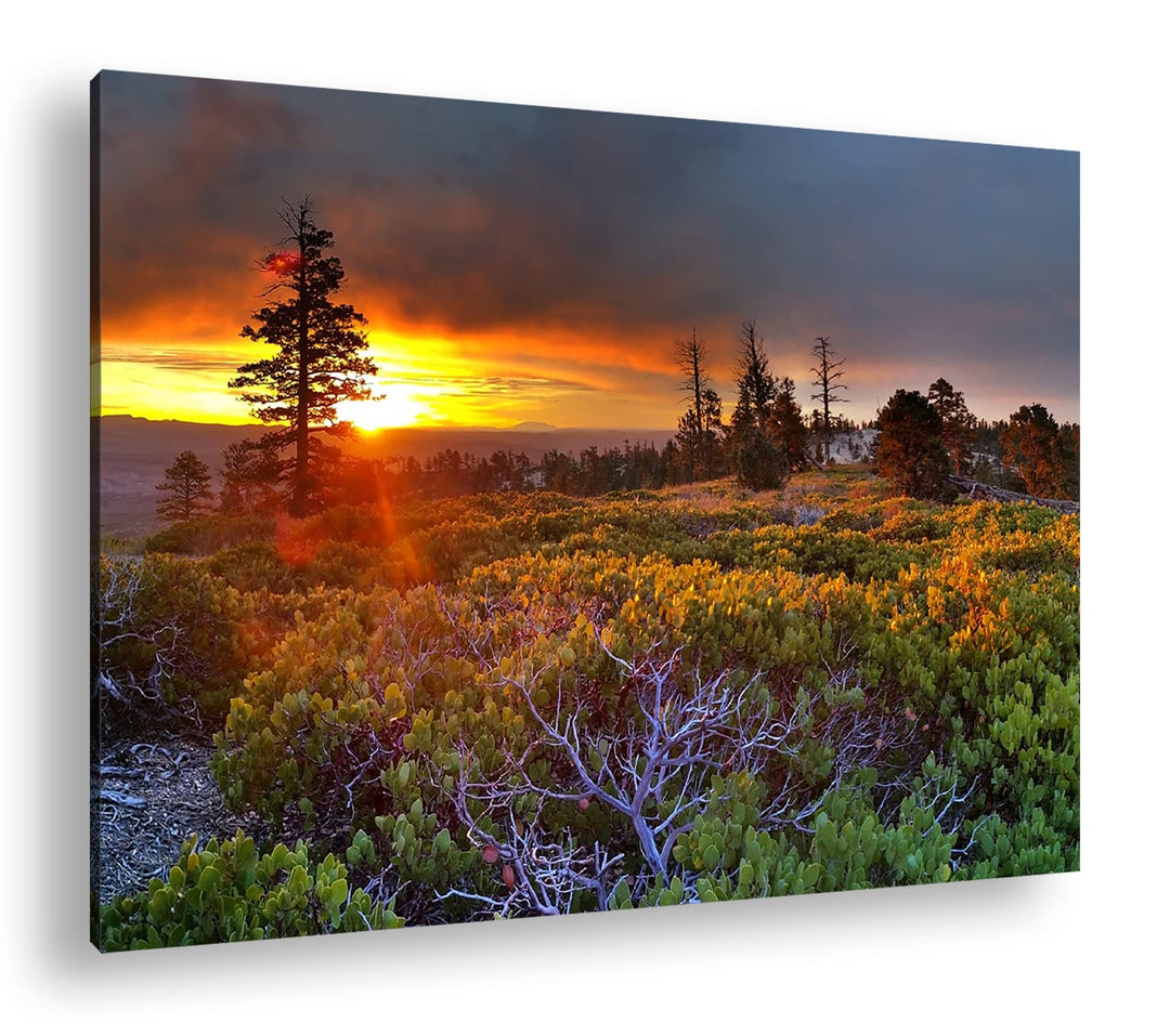 deyoli bezauberte Landschaft bei Sonnenaufgang Format: 100x70 als Leinwand, Motiv fertig gerahmt auf