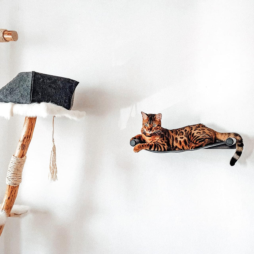 CanadianCat Company | Katzenhängematte aus Filz mit Wandmontage | ca. 65 x 35 x 10 cm | Anthrazit |