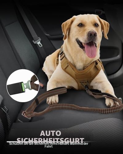 Joytale Taktische Hundeleine, 1.2m-1.8m Bungee Hundeleine mit 2 Gepolsterten Griffen, Autosicherheit