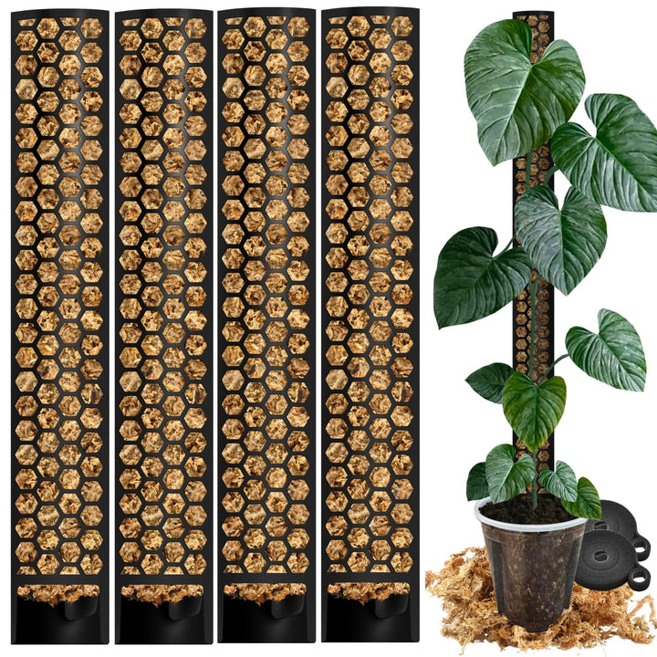 XL Moosstab für Monstera 4 x 63 cm - Erweiterbare Monstera Rankhilfe &amp; Zubehör-Set - Pflanzstäbe mit