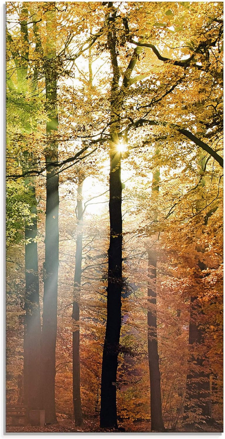 Glasbilder Wandbild Glas Bild einteilig 30x60 cm Hochformat Natur Landschaft Wald Herbst Sonne Bäume