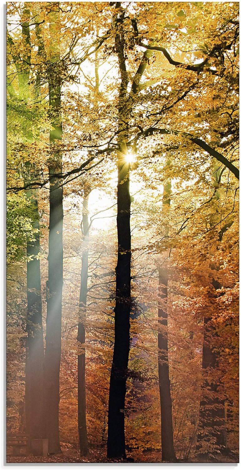 Glasbilder Wandbild Glas Bild einteilig 30x60 cm Hochformat Natur Landschaft Wald Herbst Sonne Bäume