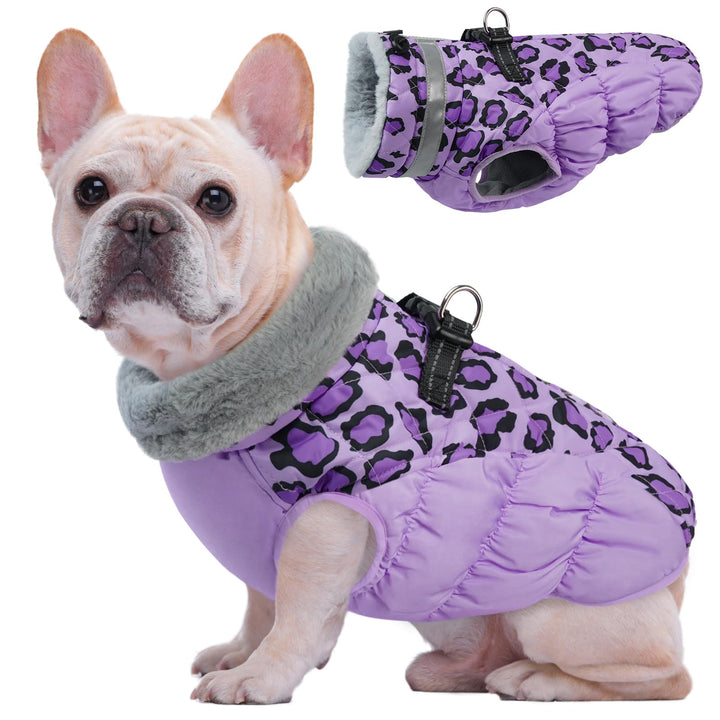 Kuoser Hundemantel Winter für Kleine Hunde Wasserdicht Winddicht, S | Wasserdicht Hundejacke mit Fle
