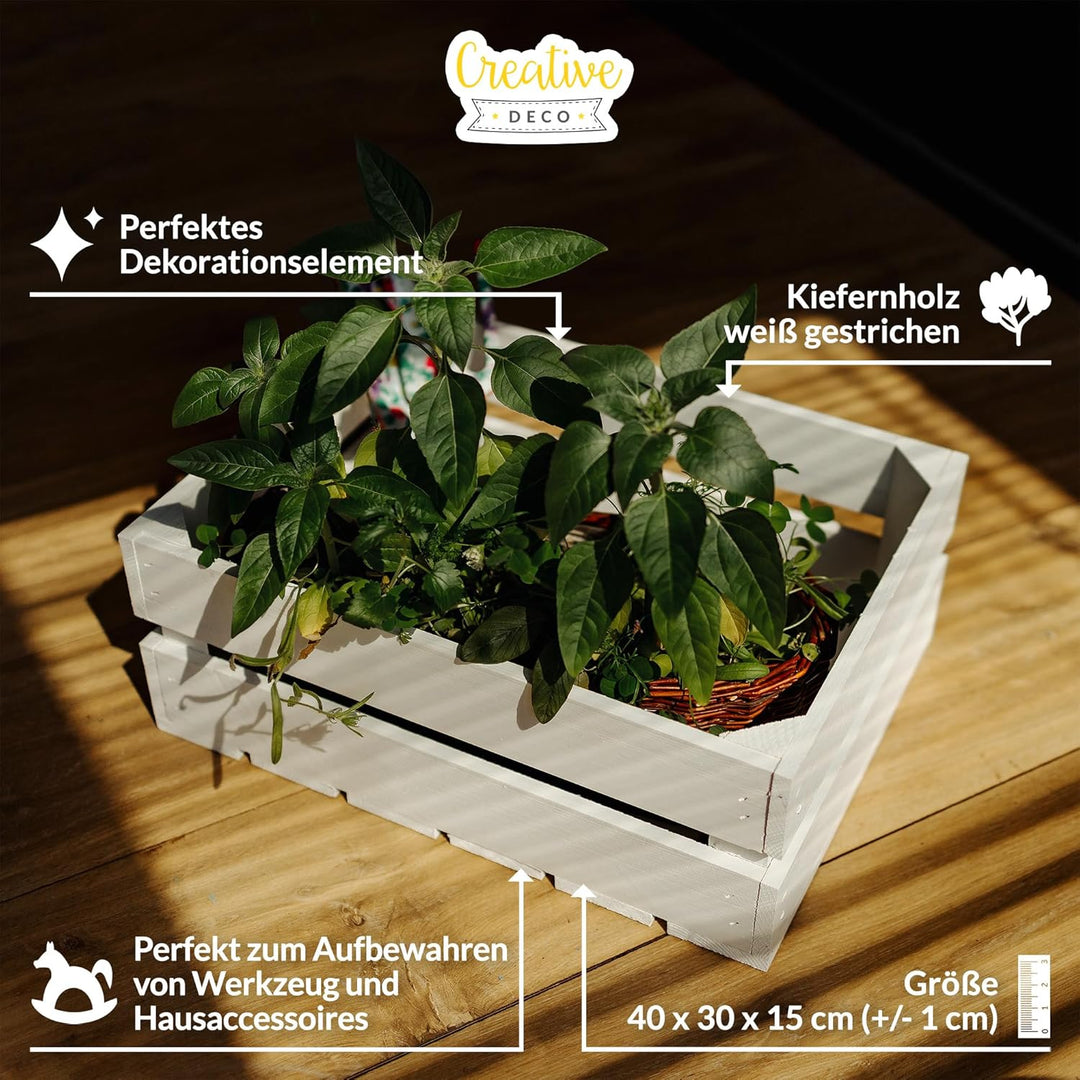 Creative Deco 3 x Holzkiste Weiss | 40 x 30 x 15 cm | Weinkisten Set Obstkiste Holz | Vintage Holzbo