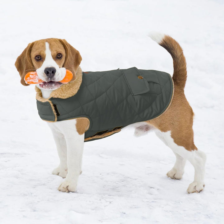 Wintermantel Hundemantel, Warme Winterjacken mit Fleece für Hunde,Hundejacke Hundekleidung Hundepull
