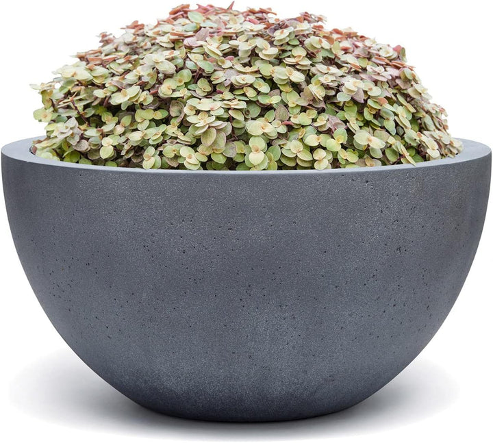 ESCHBACH® Pflanzkübel Low Egg Pot 50 Blei Grau Schale * 45 x 45 x 22 cm * 10 Jahre Garantie 45x45x 2