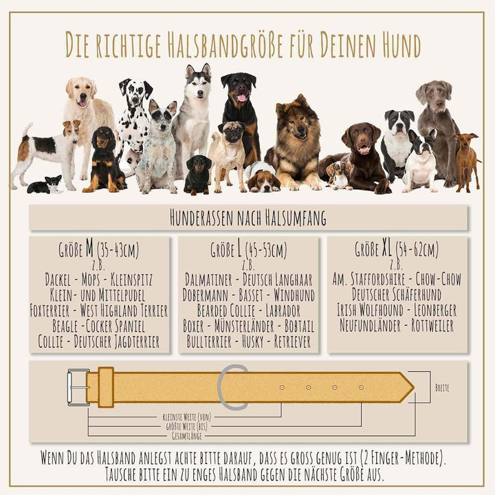 Monkimau Halsband für Hunde aus echt Leder mit Zierflechtung gepolstert verstellbar L 40-48 cm M: 30