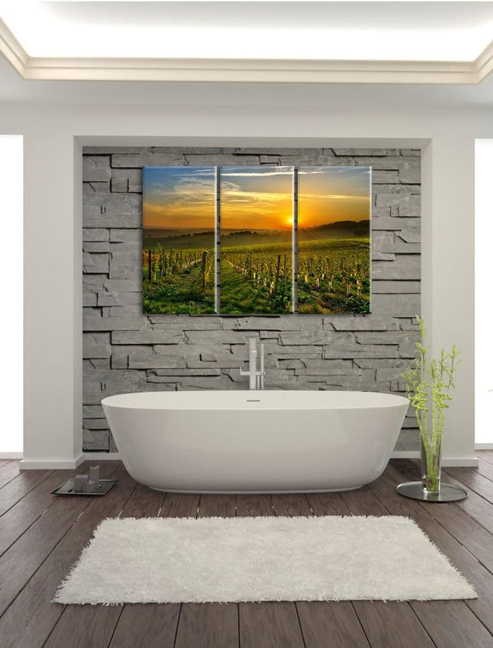 Pixxprint Weinberg in Bergerac Frankreich als Leinwandbild | Grösse: 3 Teilig (120x80) | Wandbild| K