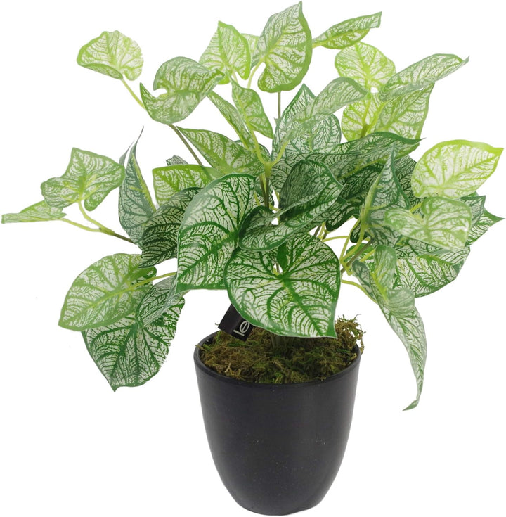 Leaf Künstliche Caladium-Pflanze, Blätter, 40 cm, mit Topf