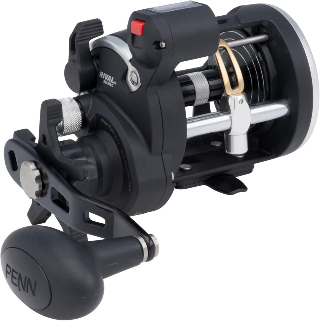 PENN Rival Level Wind Multirolle für Boote und Kajaks – Hochleistungs-Salzwasserrolle für Dorsch, Ba