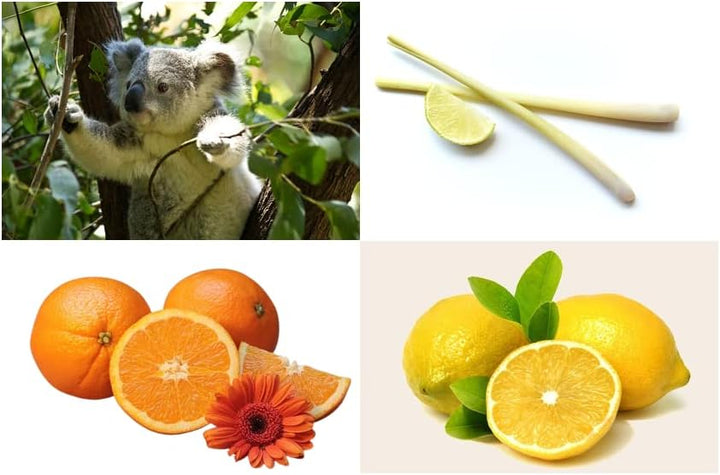 Dufte Momente | Dampfbad Duft Konzentrat 4 x 500ml | naturreine und natürliche ätherische Öle | für