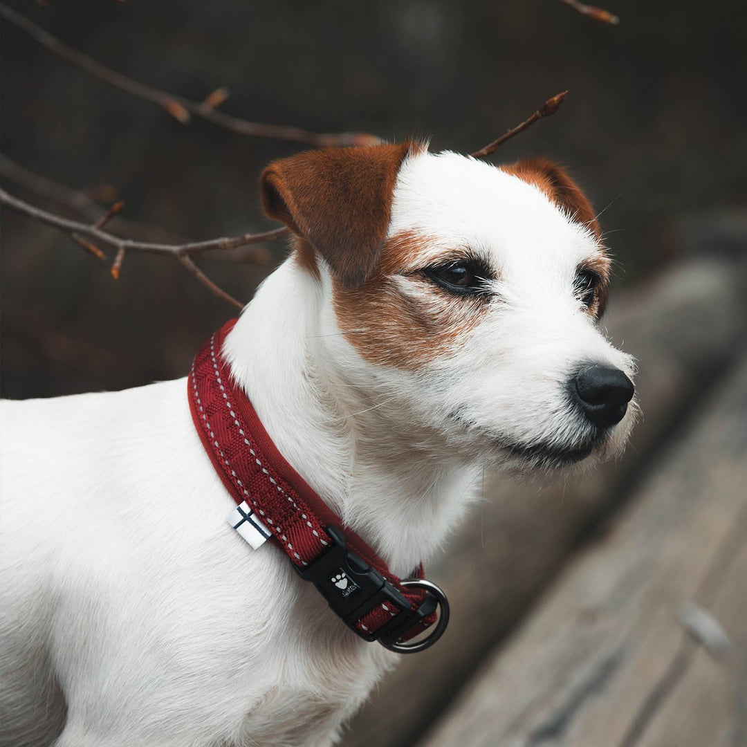 Hurtta Gepolstertes Hundehalsband, Lingon, 40,6–50,8 cm Lingon 16-20", Lingon 16-20"