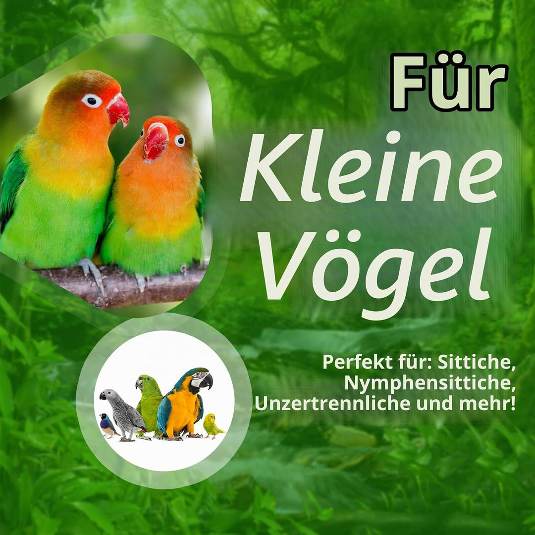 Wellensittich Spielzeug, Papagei Spielzeug, Wellensittich Schaukel Vogelkäfig Zubehör Vogelspielzeug