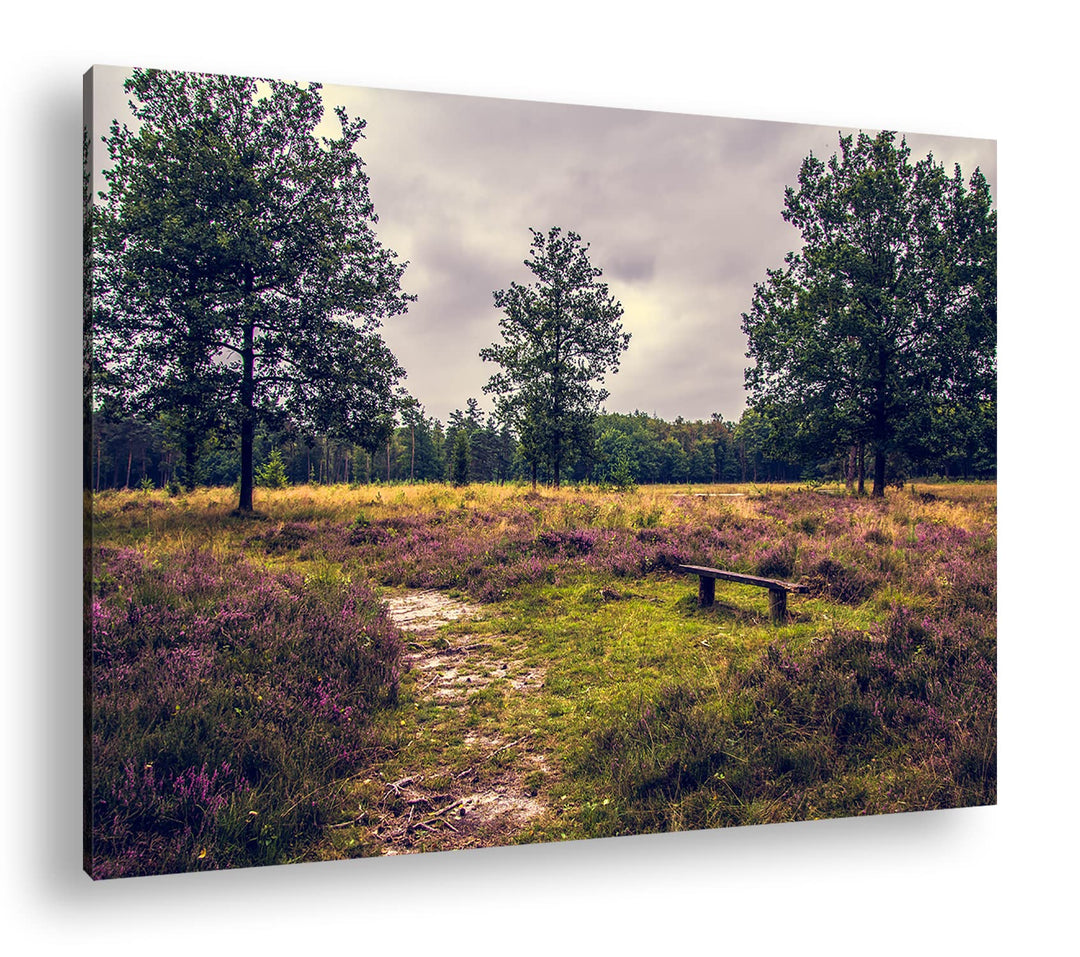 deyoli einsame Bank im Wald Format: 80x60 als Leinwand, Motiv fertig gerahmt auf Echtholzrahmen, Hoc