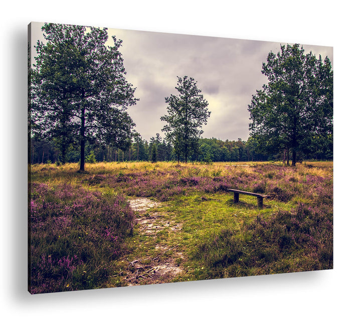 deyoli einsame Bank im Wald Format: 80x60 als Leinwand, Motiv fertig gerahmt auf Echtholzrahmen, Hoc