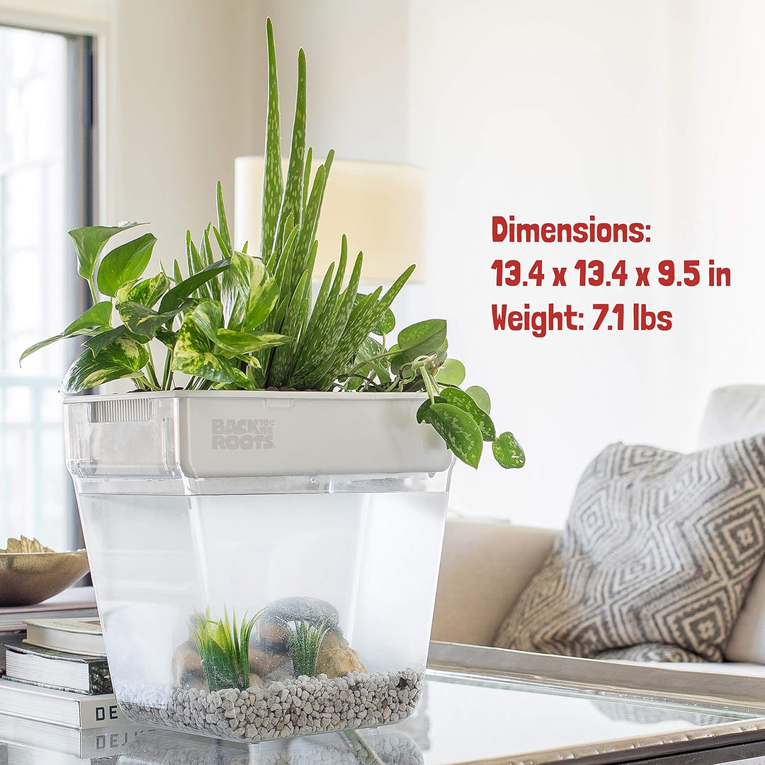 Back to the Roots Hydrokultur-Garten für den Innenbereich, selbstbewässernder, schmutzfreier Übertop