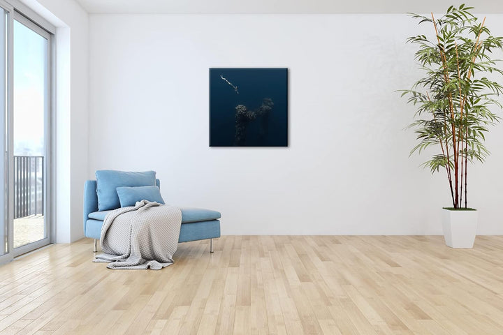 tiefer Tauchgang zum Meeresgrund Format: 60x60 als Leinwandbild, Motiv fertig gerahmt auf Echtholzra