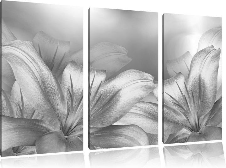 Pixxprint türkise Lilien Kunst B&W als Leinwandbild/Grösse: 3 Teilig (120x80) / Wandbild/Kunstdruck/