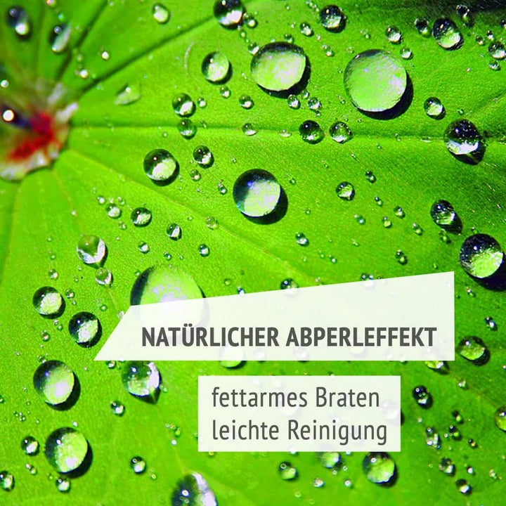 Original Gundel BRÄTERPFANNE, 33 x 21 x 6 cm, INDUKTION, Titan-Keramik-Oberfläche für Induktionsherd