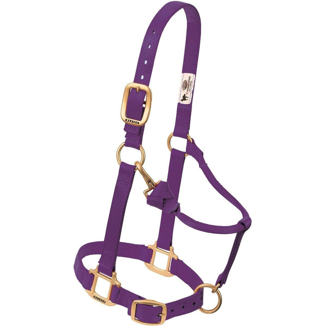 Weaver Leather Original verstellbares Nylonhalfter für Pferde Weanling/Pony Violett, Weanling/Pony V