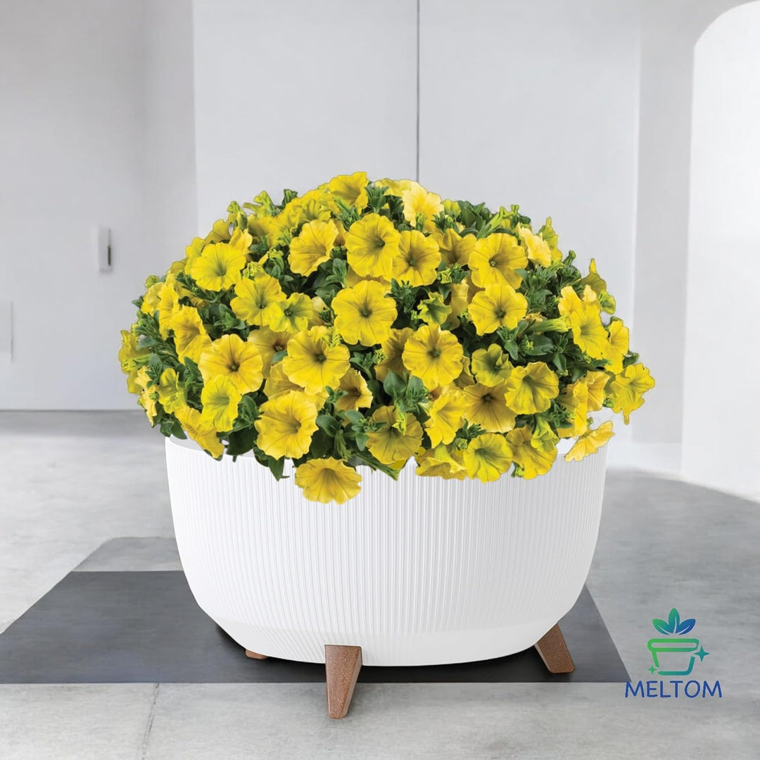MELTOM Blumentopf Schale mit Füssen Einsatz Kräutertopf Übertopf Pflanzschale Eco Recycled (Weiss, X