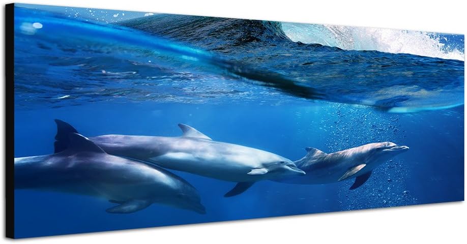 Paul Sinus Art Panoramabild auf Leinwand und Keilrahmen 150x50cm Ozean Welle Delfine Unterwasser