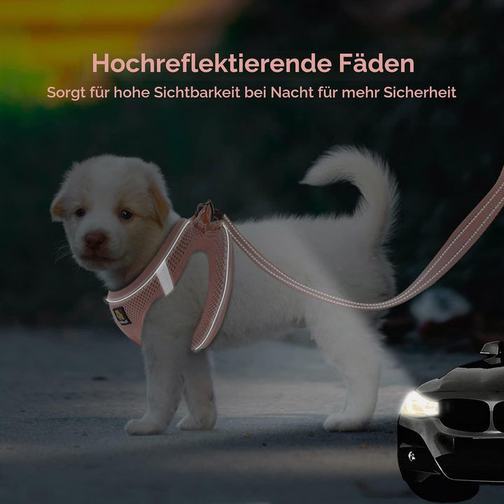 BELLA &amp; PAL Hundegeschirr Kleine Hunde mit Leine, Step-in Geschirr aus Air Mesh, Anti Zug Reflektier