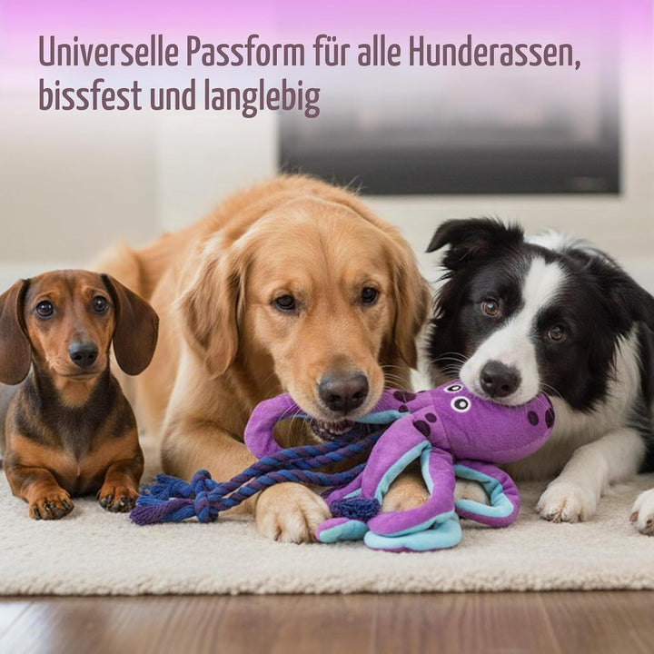 Baumwollseil interaktives Spielzeug kein stopfendes Crinkle-Plüsch-Hundespielzeug Hunde-Quietschspie