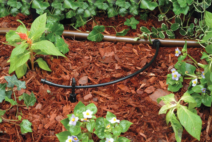 Rain Bird T22-250S Drip Irrigation 1/4" Blank Distribution Tubing, 250'Roll, Black 250' Roll, 250' R