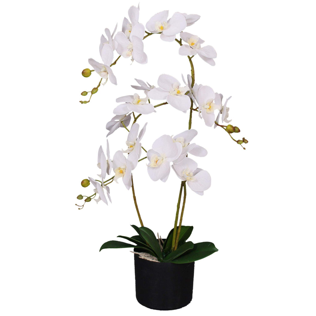 Leaf Kunstpflanze Orchidee, Blätter, 60 cm, gross, Weiss, 60cm Large White, LEAF-7040 60cm Large Whi