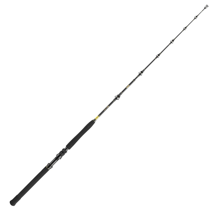 DAIWA BG Big Game 1,68 m 5,50 Ft 3 Teile Progressive Action Big Game Salzwasser Angelrute 5.50 Ft /