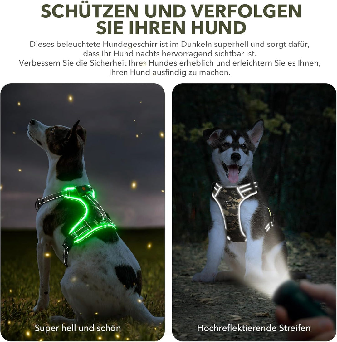 Leuchtendes Hundegeschirr Ausbruchsicher, Reflektierende, Verstellbare, No-Pull Leuchtgeschirr für H