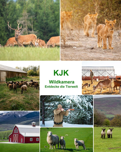KJK Wildkamera WLAN 2.7K 64MP mit 64GB SD Karte, Wildtierkamera mit Nachtsicht, 0.05s Auslöser Beweg