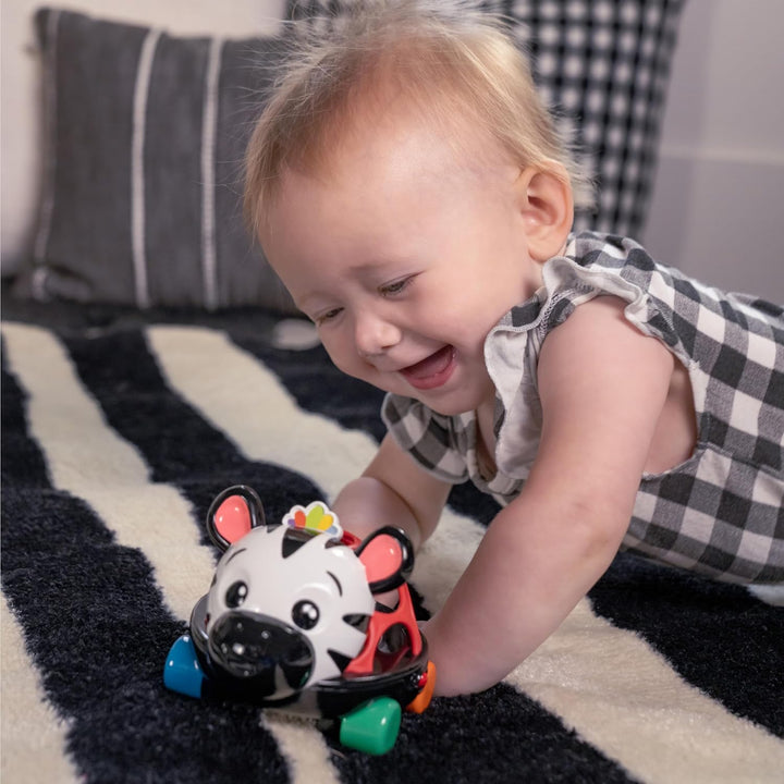 Baby Einstein Curious Car Zen Oball Spielzeugauto & Rassel, Leuchtet, ab 3 Monaten, Zen das Zebra Ze