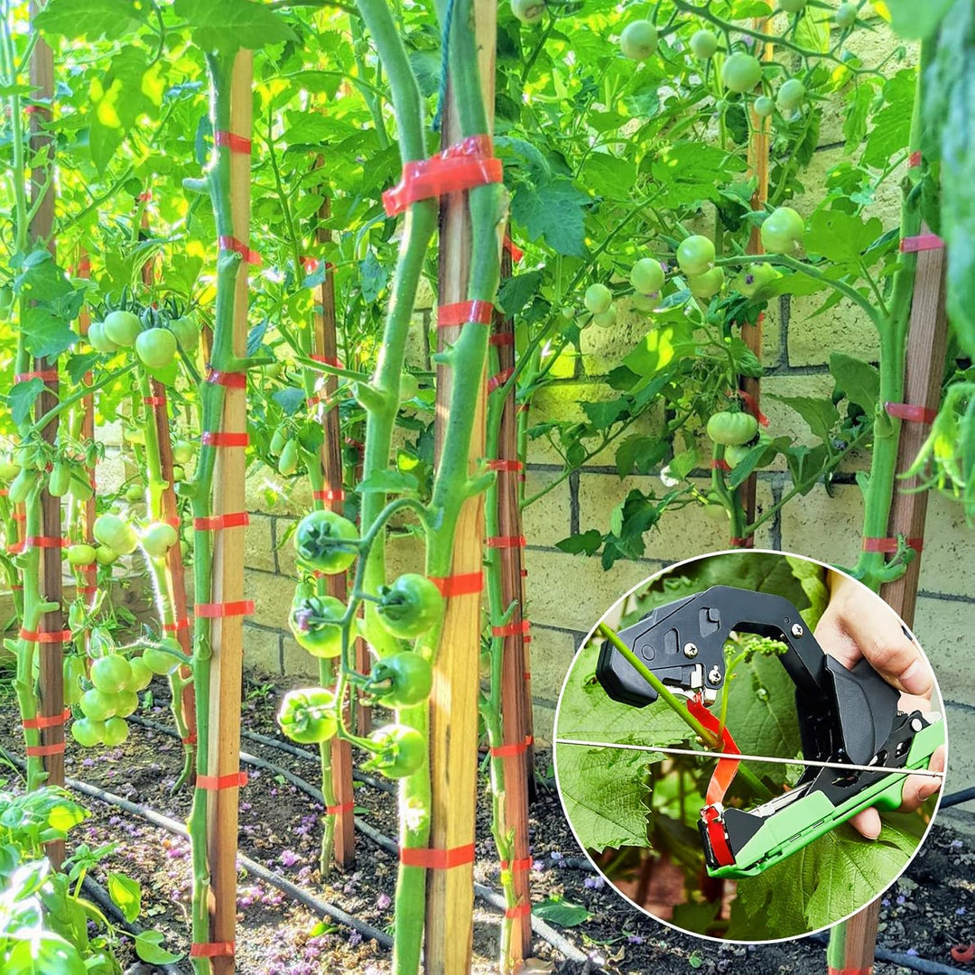 RUKHOOL Bindezange Für Pflanzen Pflanzenbindemaschine Bindemaschine Pflanzenbinder Rankhilfe Bindeza