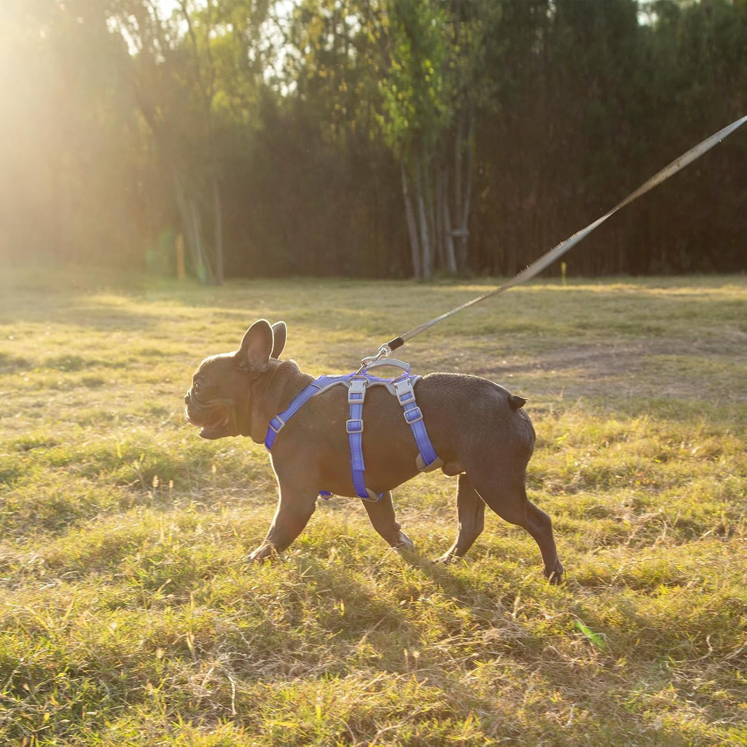 Huntboo Hunde Sicherheitsgeschirr, Rutschfestes Hundegeschirr Escape Proof, Reflektierendes Geschirr