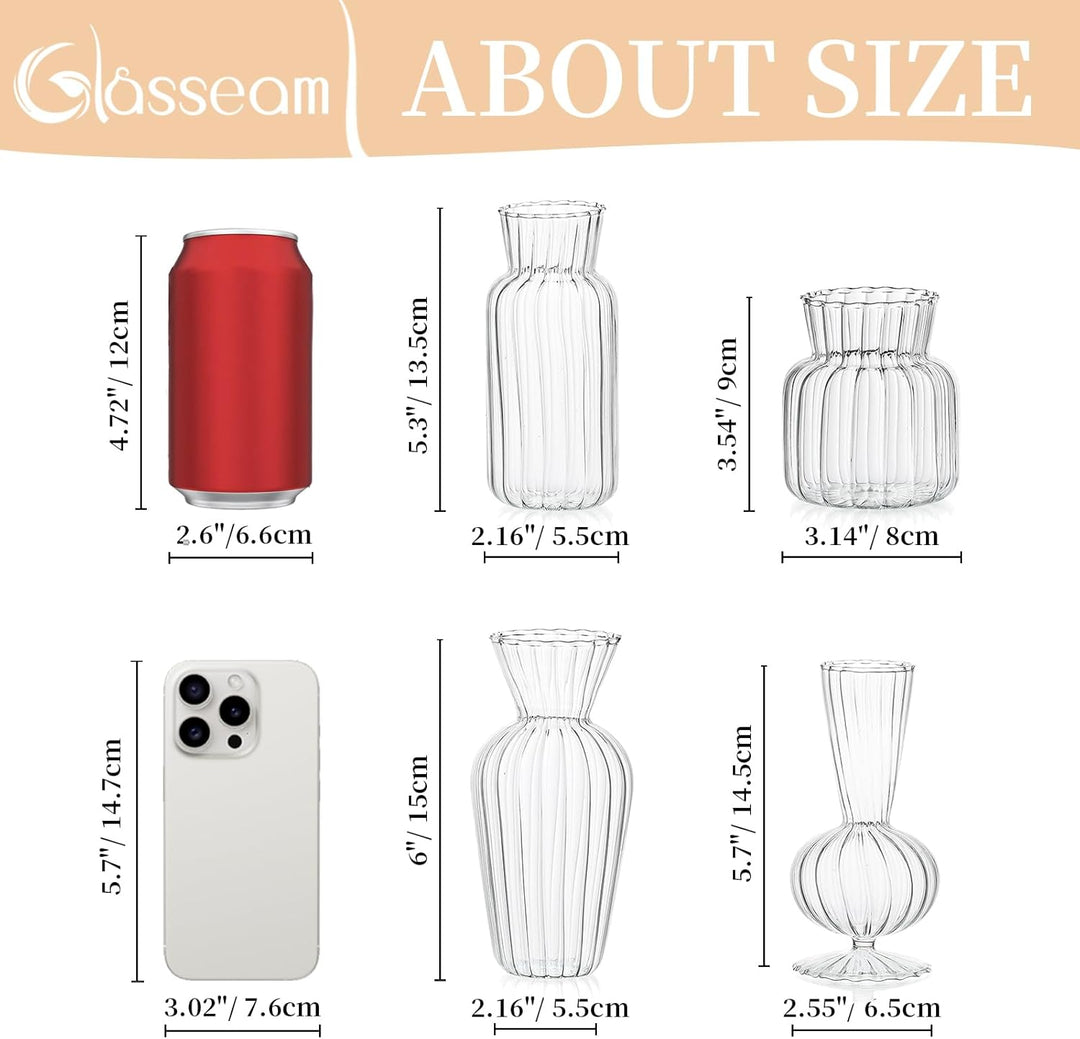 Kleine Vasen Hochzeit Tischdeko Vintage, 8 Teilig Mini Vase Glas Blumenvase Modern Set Hydroponic Gl