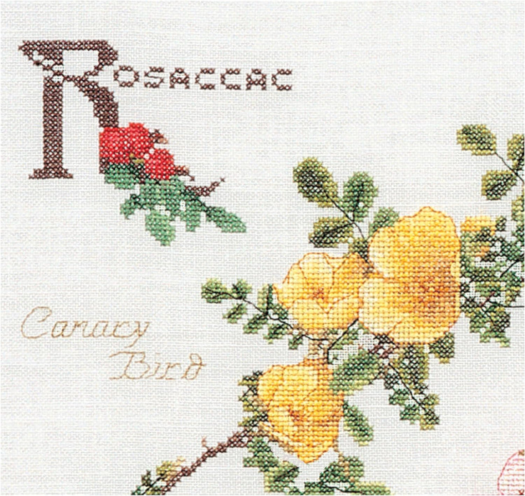 Thea Gouverneur - Kreuzstich-Set - Rosen - Leinen - 32 Count - Für Erwachsene - 3066 44x46cm Rosen,