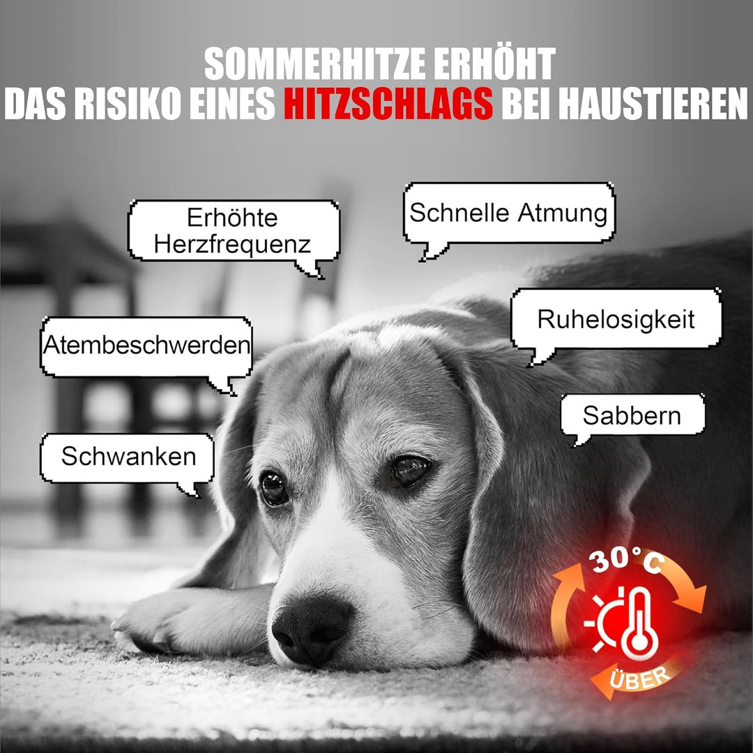 Angelpet Kühlmatte Hund, M 65x50cm – Ungiftige Selbstkühlende Gelmatte Bett, Langlebige wasserdichte