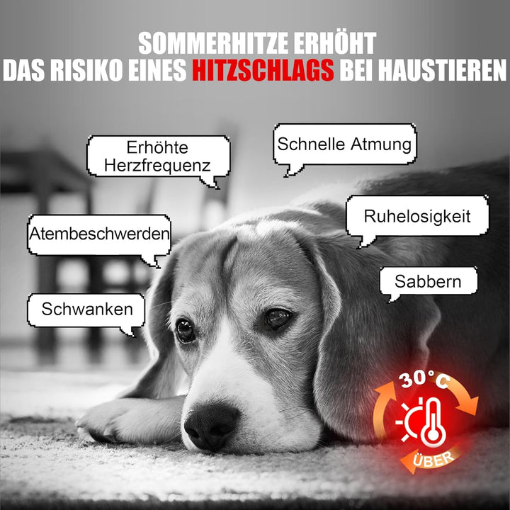 Angelpet Kühlmatte Hund, L 90x50cm – Ungiftige Selbstkühlende Gelmatte Bett, Langlebige wasserdichte