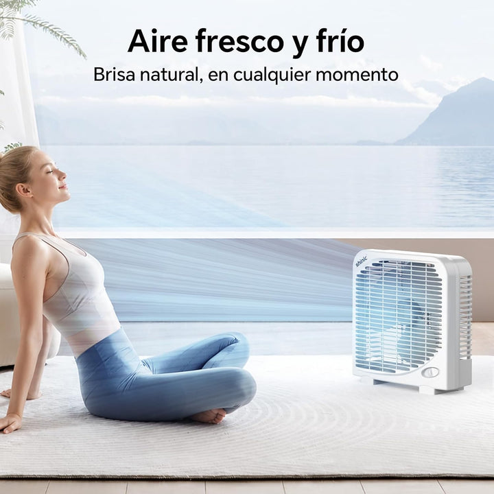 shinic 25 cm Tisch-Boxventilator, 2 Geschwindigkeiten, leiser Tischventilator mit starkem Luftstrom,