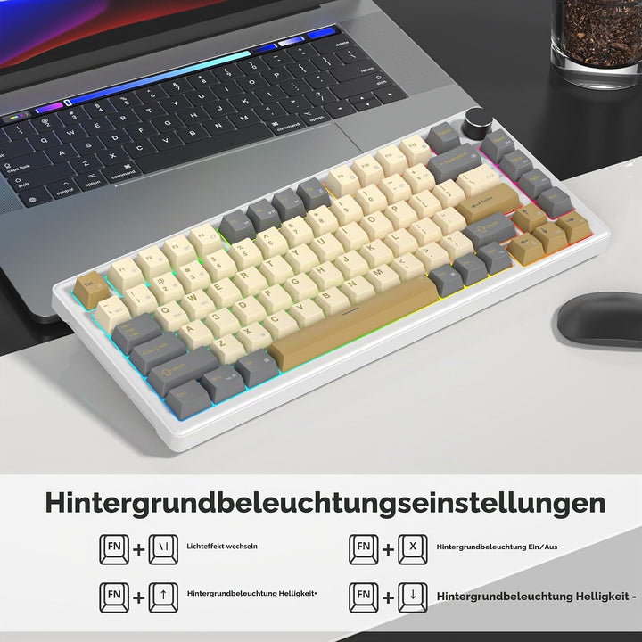 SOLIDEE Verkabelte Mechanische Gaming Tastatur 75 Prozent, Hot-Swap-Fähig Mit Gasket Struktur, RGB H