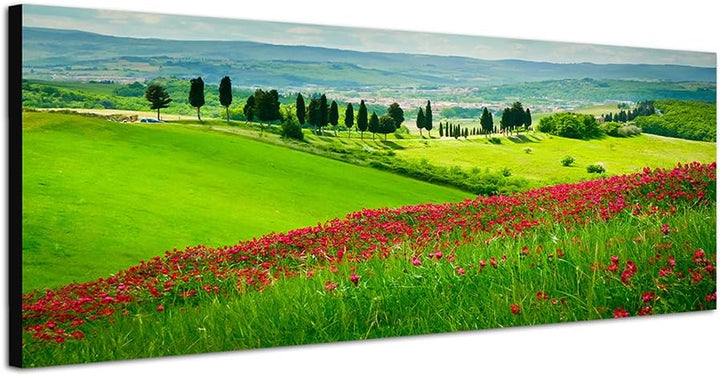 Paul Sinus Art Panoramabild auf Leinwand und Keilrahmen 150x50cm Toskana Blumenwiese Zypressen Lands