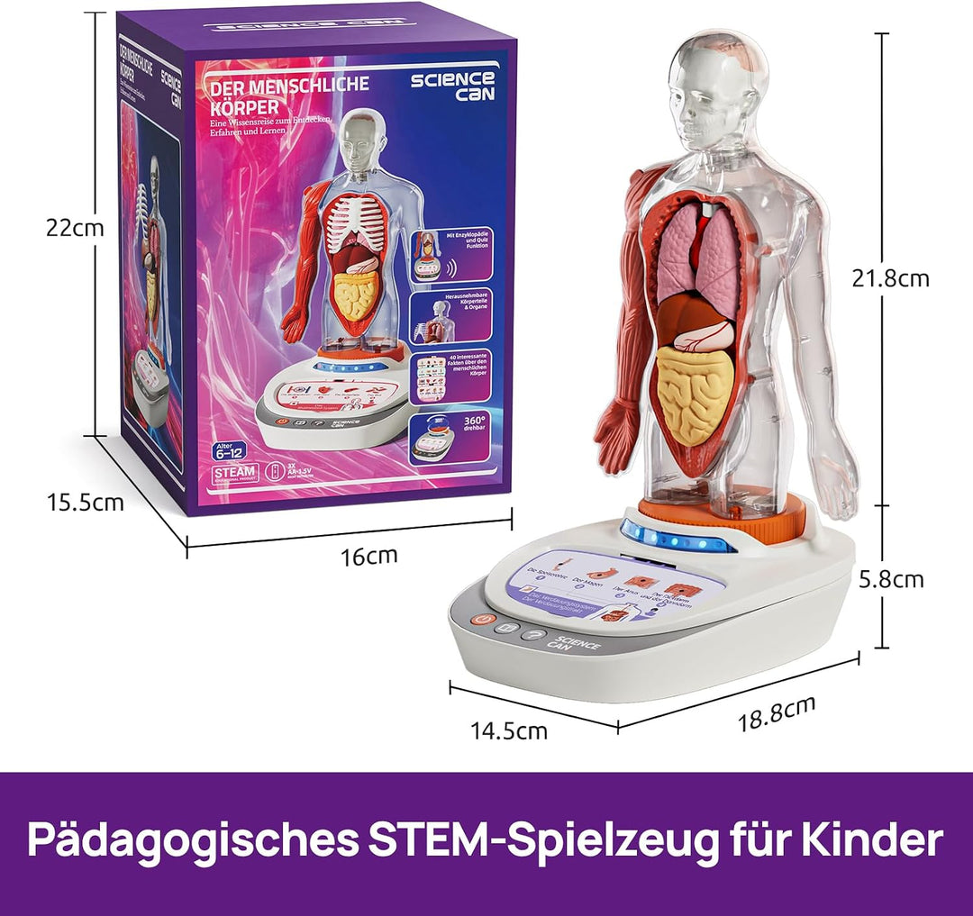 Science Can Anatomiemodell für Kinder, Menschliche Körper Set, Interaktive Spielzeug - Englisch, 22c