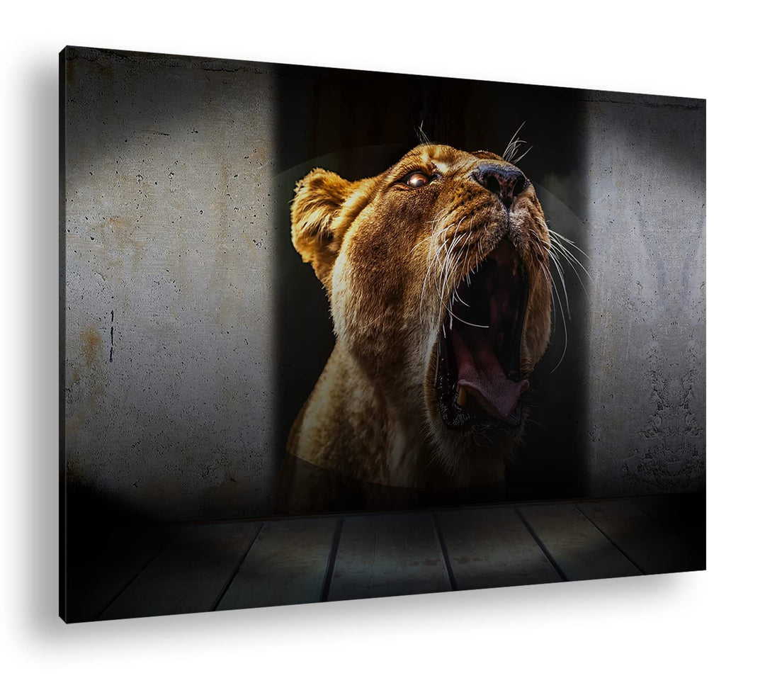 deyoli brüllende Löwin Format: 80x60 als Leinwand, Motiv fertig gerahmt auf Echtholzrahmen, Hochwert