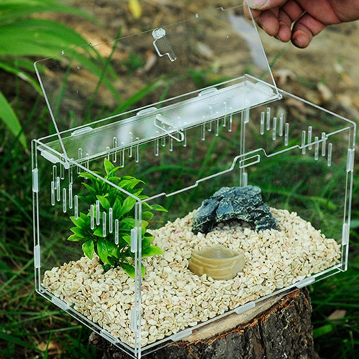 Reptile Fütterungsbox,Acryl Transparent Transport Box,Geeignet für Eidechsen, Spinnen, Hornfrösche u